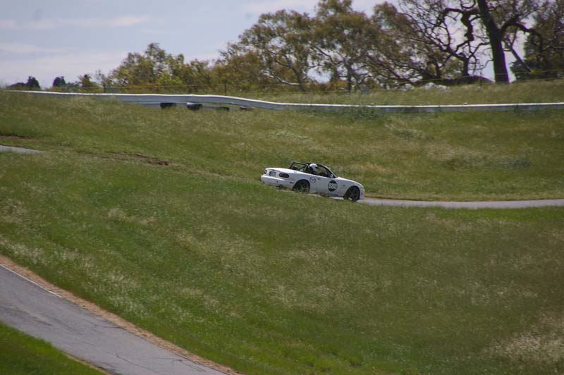 IMGP8648
