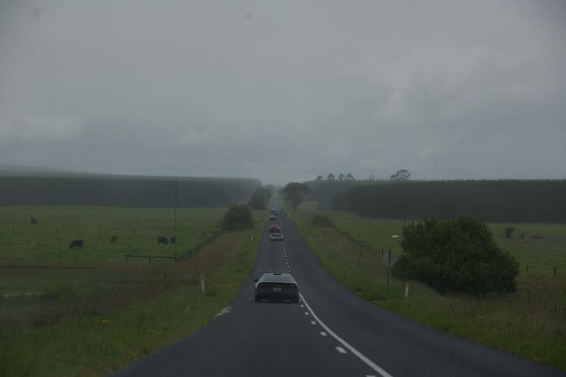 IMGP8421