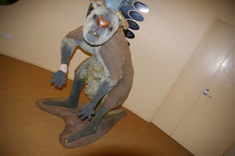 IMGP8501