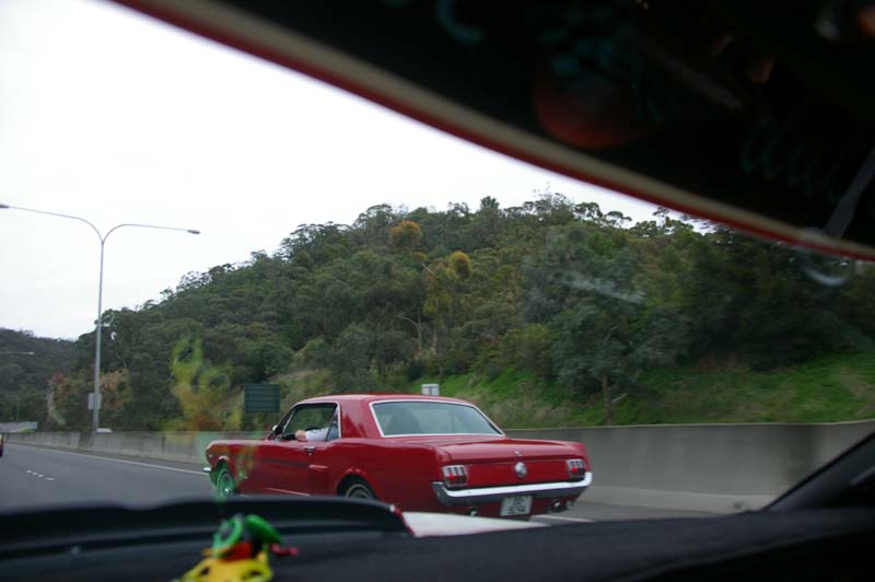 IMGP7302
