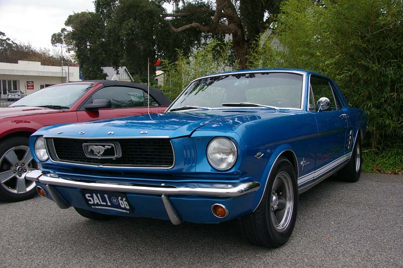 IMGP7376