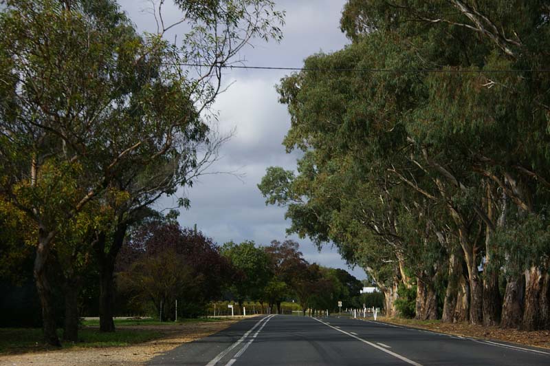 IMGP0425