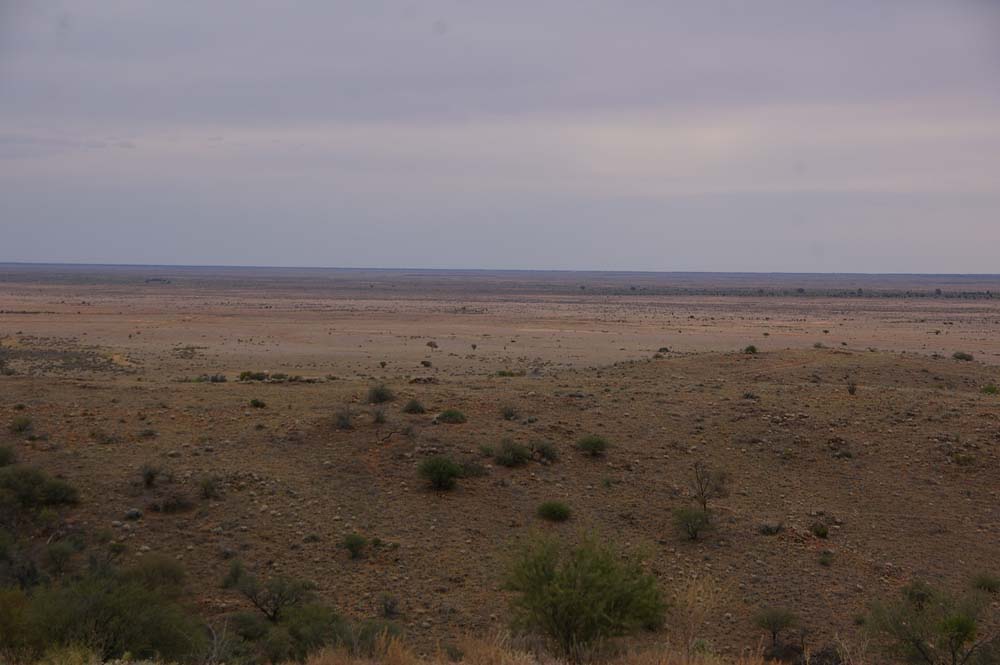IMGP2044