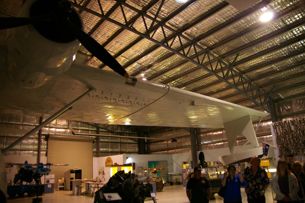 IMGP2973