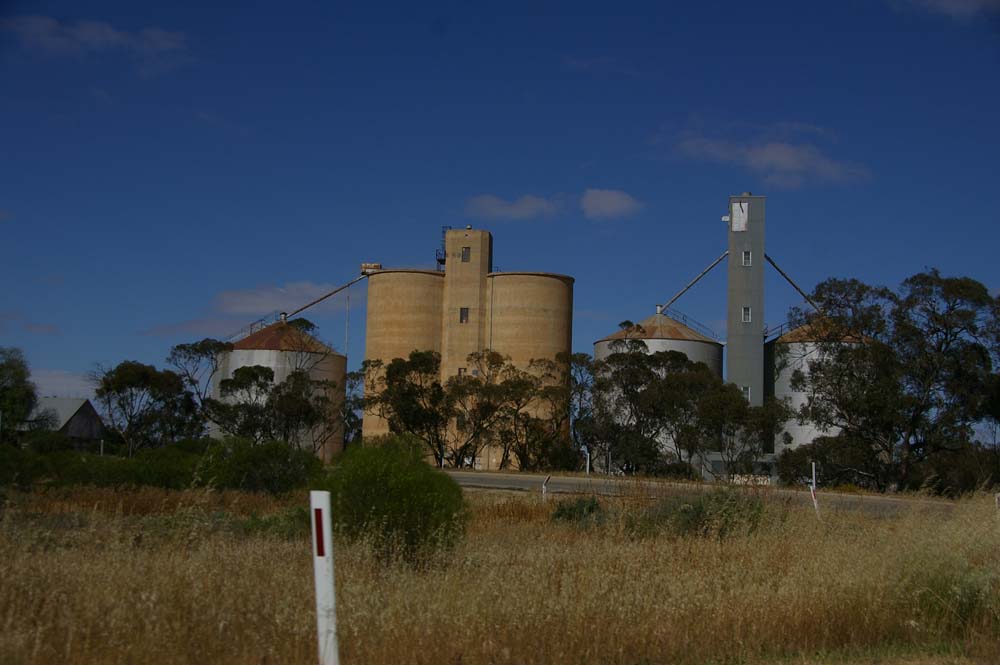 IMGP3179
