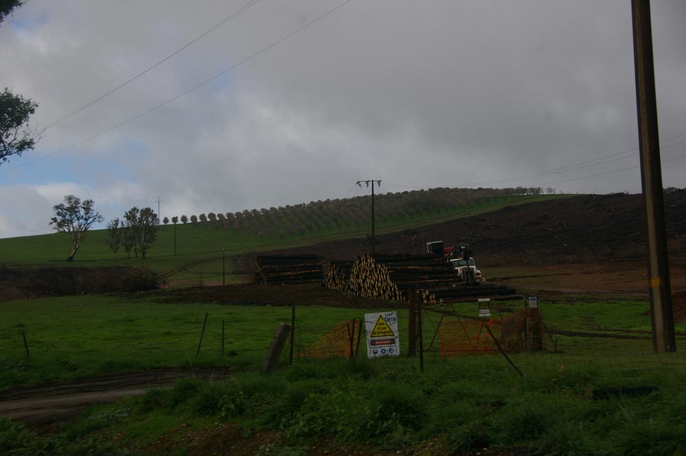 IMGP4648