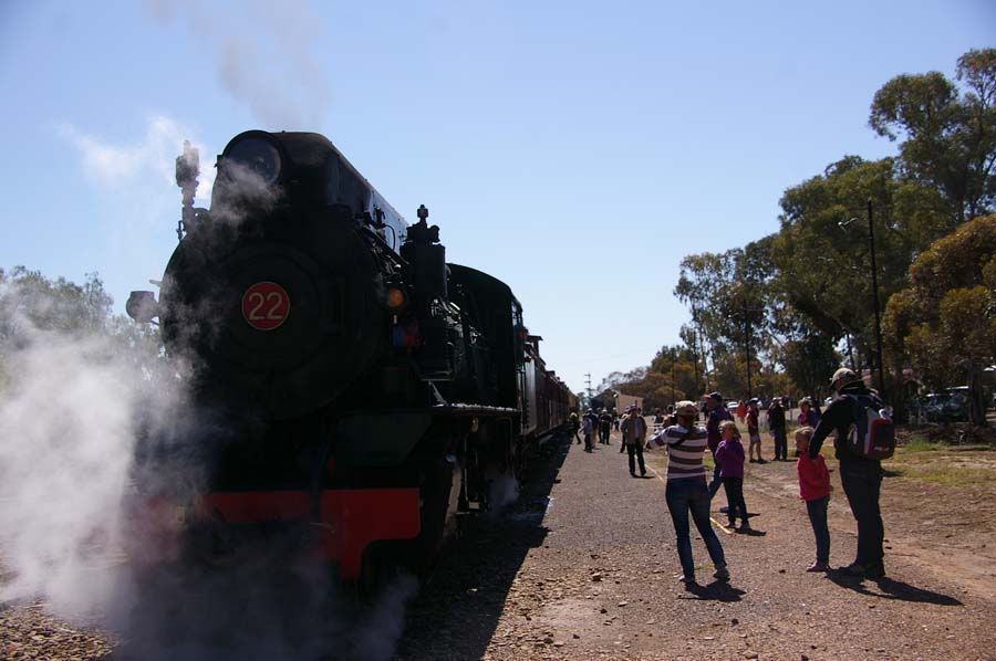 IMGP2990