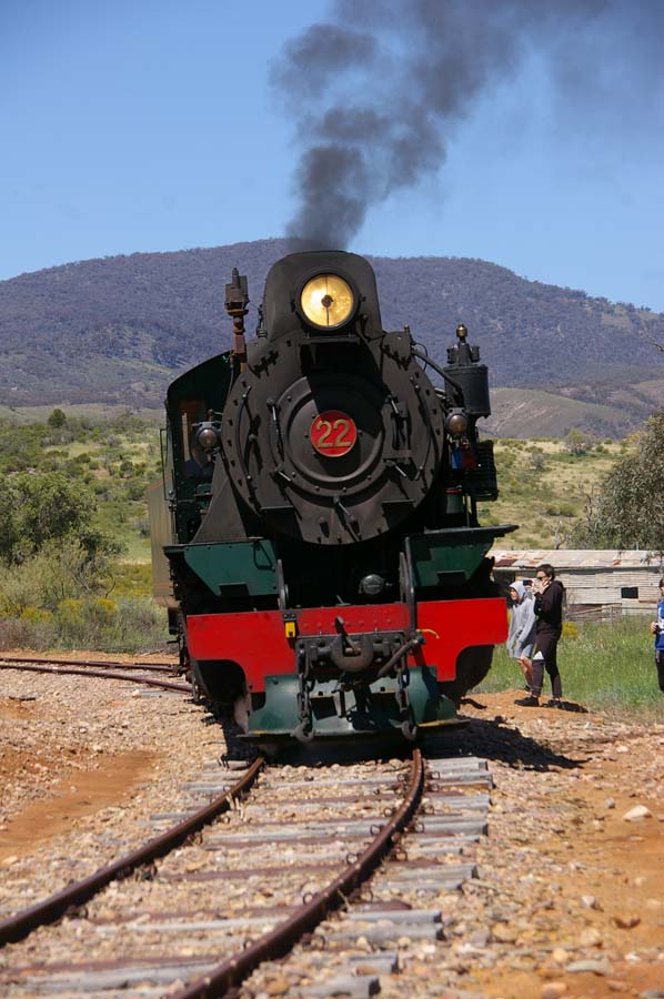IMGP3110