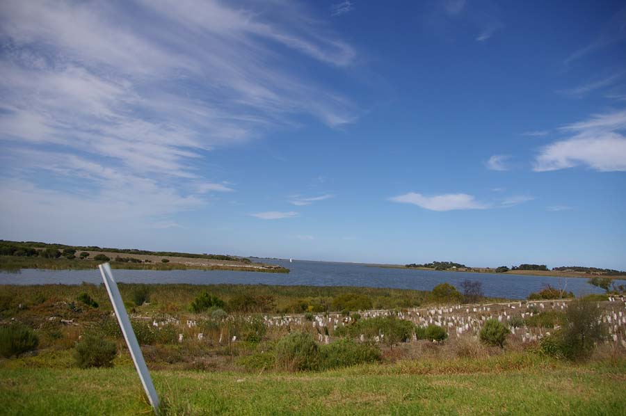 IMGP3875