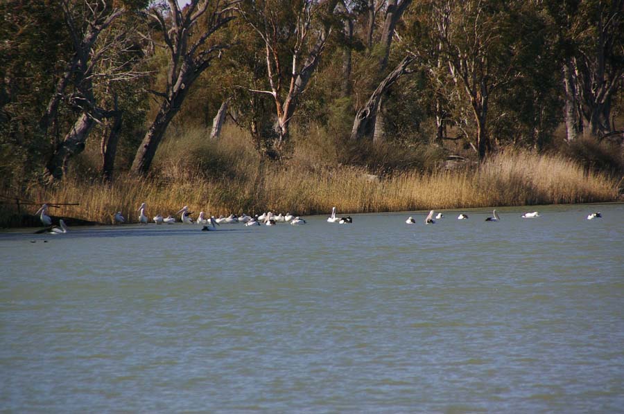 IMGP8346