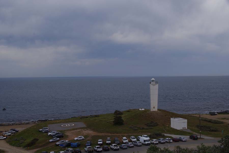 IMGP7662