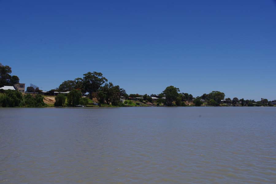IMGP8614