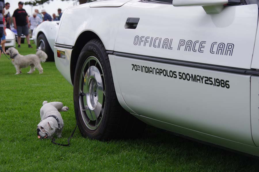 IMGP8742